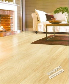 木地板煥新與塑膠地板維護 全面解決福州家庭地面問題